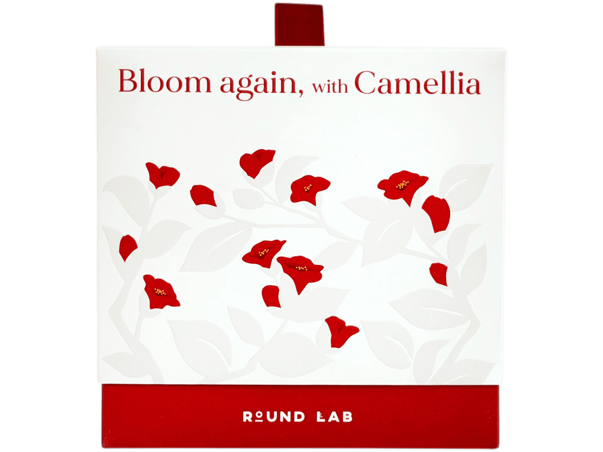 라운드랩_동백꽃패키지_썸네일.png